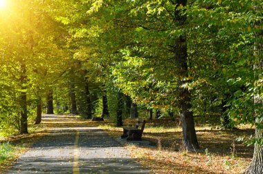 Gün batımı ışınları yaz park