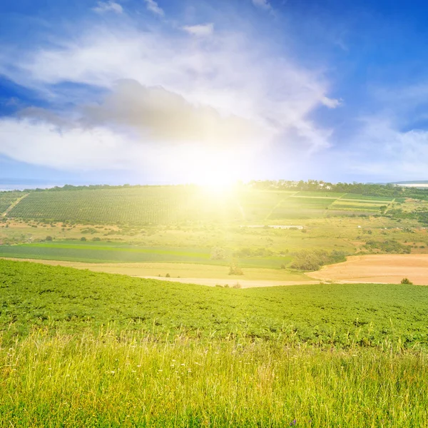 Terreno montañoso, campo de primavera y amanecer en el cielo azul —  Fotos de Stock