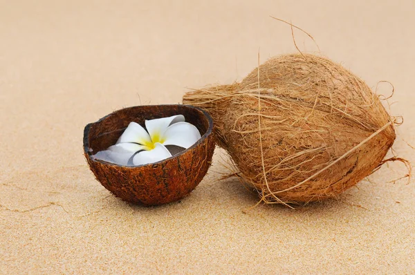 Kokos en magnolia bloem op een achtergrond van een zandstrand — Stockfoto