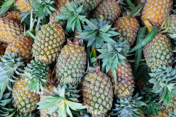Bright background of fresh juicy pineapples — Stock Photo, Image