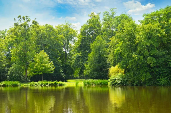 Malerischer See, Sommerwald am Ufer und Himmel — Stockfoto