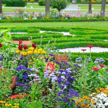 yaz çiçek yatak ve yeşil çim