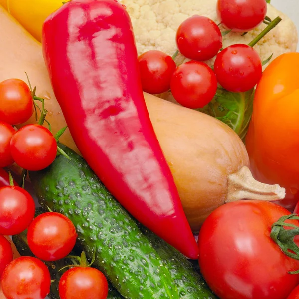 Fondo brillante de verduras y hierbas maduras — Foto de Stock