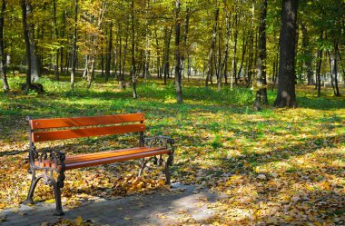 yolları ve banklar ile güzel sonbahar park