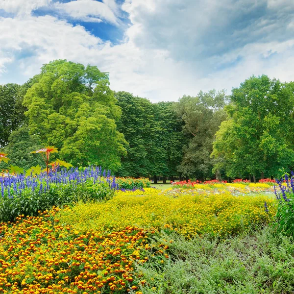 Nyári park gyönyörű virágokkal — Stock Fotó