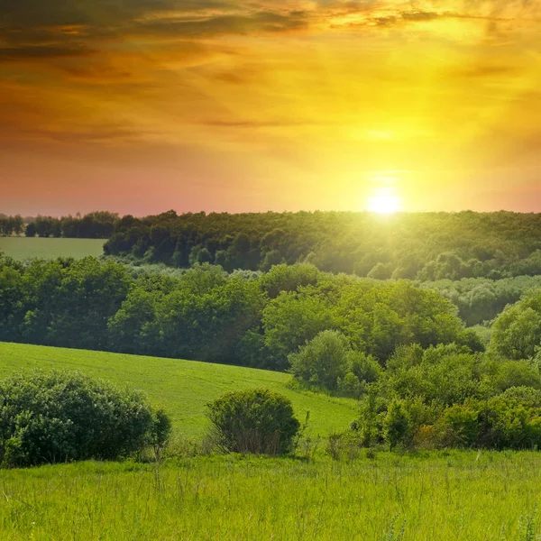 Campos verdes y un amanecer brillante sobre el horizonte . —  Fotos de Stock