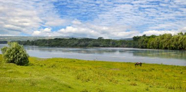 Düz nehir, çayır ve taşkın yatağının orman