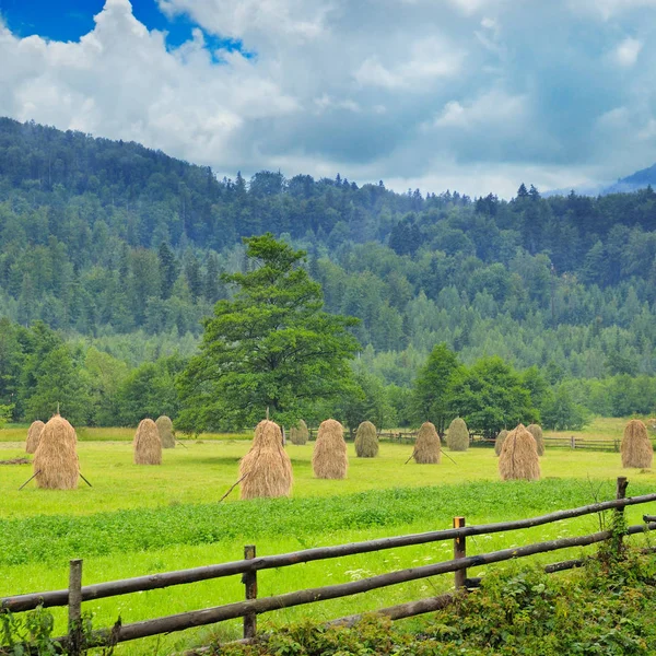Haystacks in the mountain valley — Stock Photo, Image