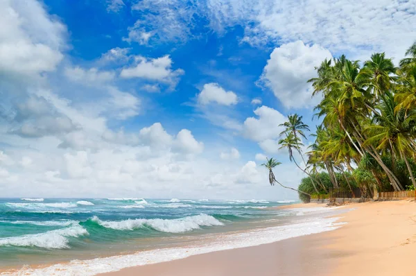 Güzel okyanus ve plaj tropikal palmiye ağaçlarının — Stok fotoğraf