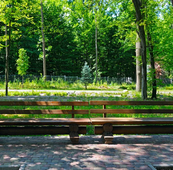 rahat şehir parkında rahatlamak için banklar