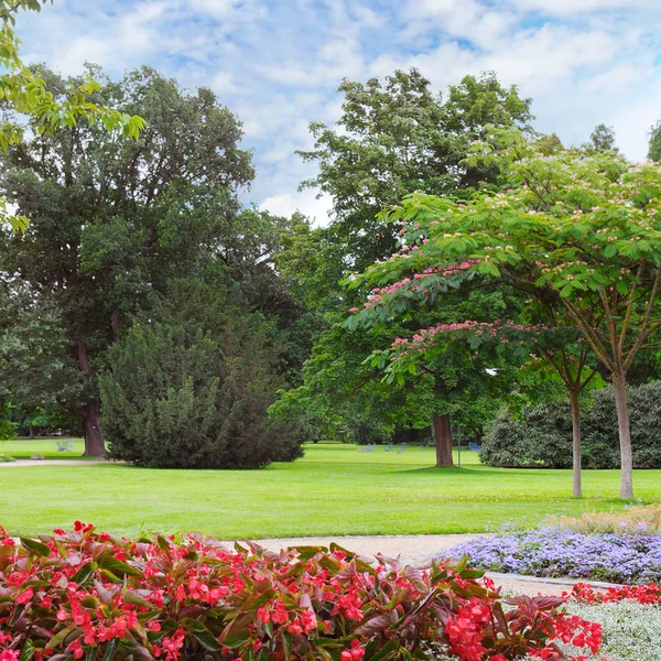 Zomer park met mooie flowerbed — Stockfoto