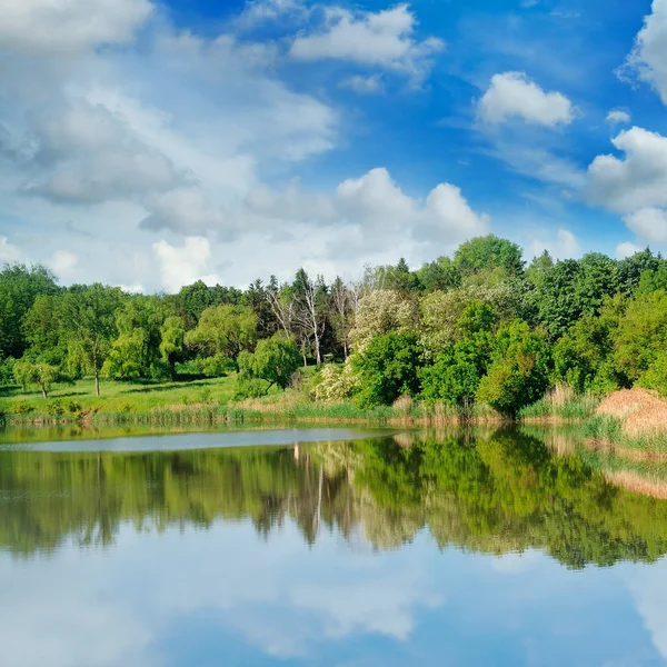 Живописное озеро, лес на берегу и небо — стоковое фото