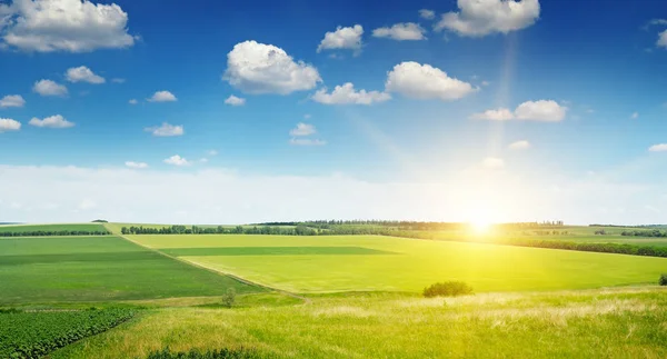 Champ printanier et lever de soleil sur ciel bleu — Photo