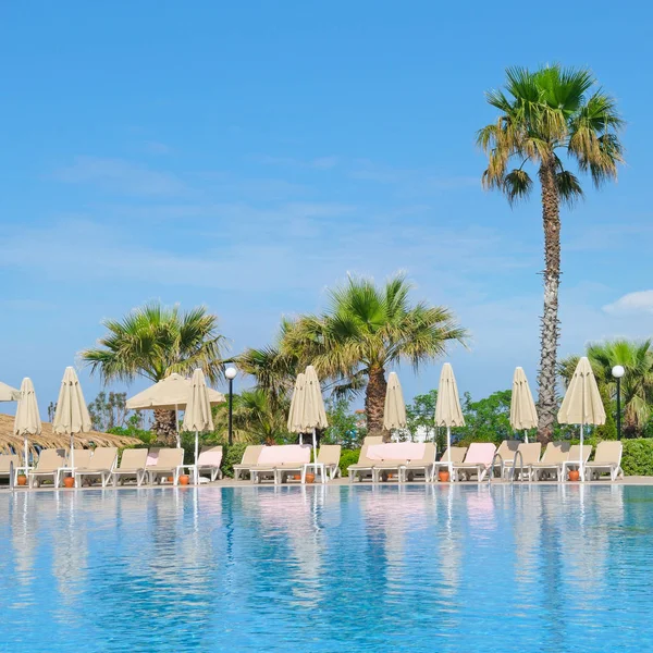 Outdoor swimming pool, palm trees and sun loungers — Stock Photo, Image