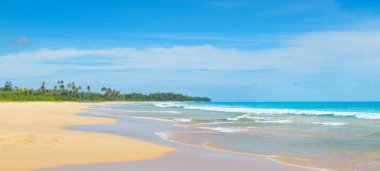 Okyanus güzel ve uzun kumlu plaj