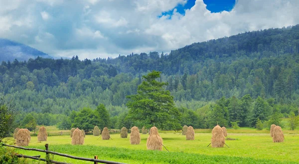 Meules de foin dans la vallée de montagne — Photo