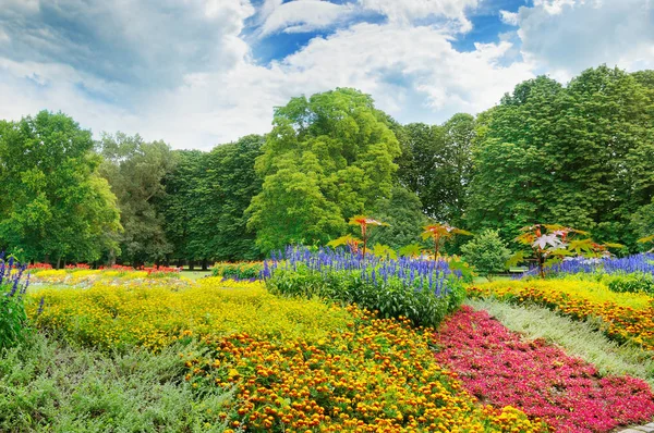 Sommerpark mit schönen Blumenbeeten — Stockfoto