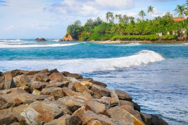 okyanus, tropikal kıyı ile bulutlu gökyüzü palms