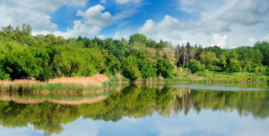Göl, bankalar ve gökyüzü yaz orman