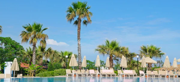 Outdoor swimming pool, palm trees and sun loungers — Stock Photo, Image