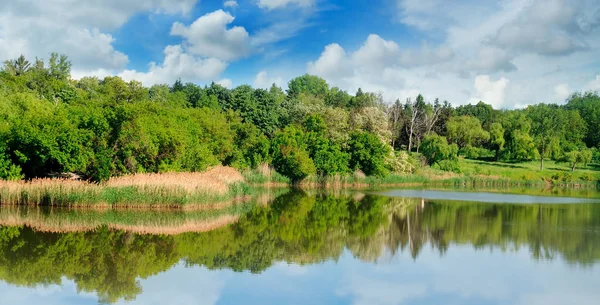 Göl, bankalar ve gökyüzü yaz orman