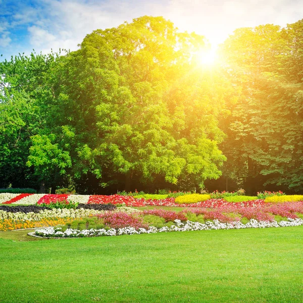 아름다운 꽃밭이 있는 여름 공원 — 스톡 사진