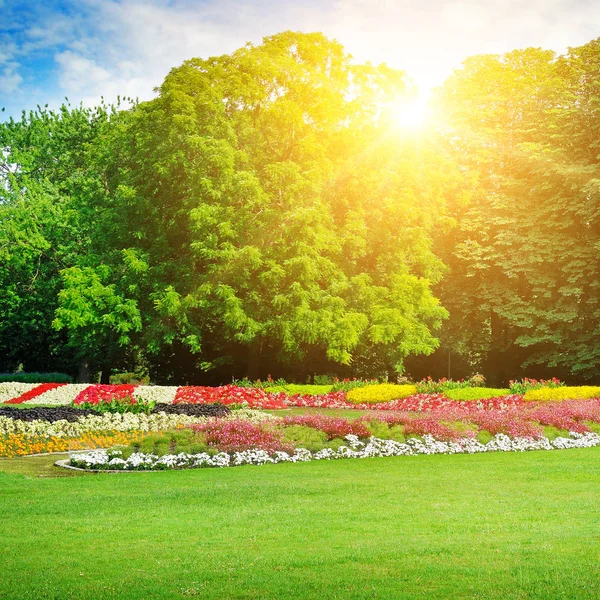 Zomerpark met prachtige bloemperken — Stockfoto