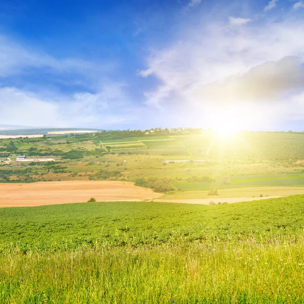 Campo y salida del sol en el cielo azul —  Fotos de Stock