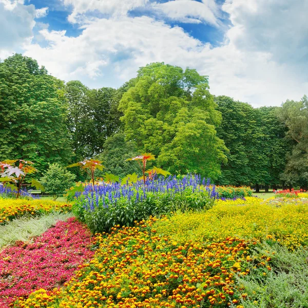 夏公园和美丽的花坛 — 图库照片