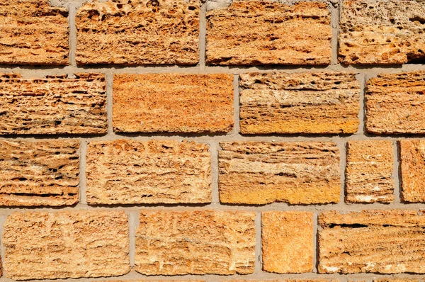 Arka plan kesilmiş kabuk kaya yaptı