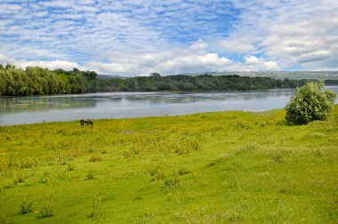 Düz nehir, çayır ve taşkın yatağının orman kıyısında.