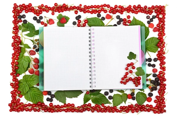 Книга на фоне смородины ягод, ежевики и сыпи — стоковое фото