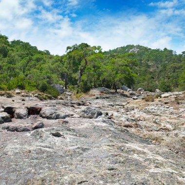 Doğalgaz eart yüzeyinde yanan alev