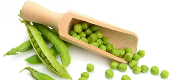 Gousses de pois verts isolées sur blanc — Photo