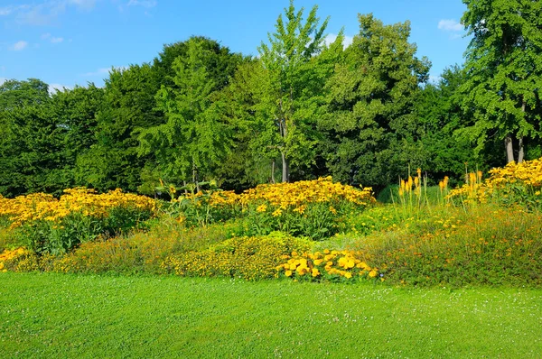 Summer park with beautiful flowerbeds — Stock Photo, Image