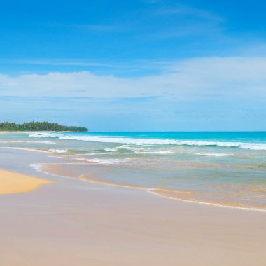 Güzel okyanus, uzun kumlu plaj