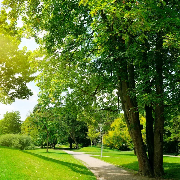 Parco, prato e cielo blu — Foto Stock