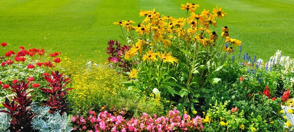 Yaz çiçek yatak ve yeşil çim — Stok fotoğraf
