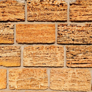 Arka plan kesilmiş kabuk kaya yaptı