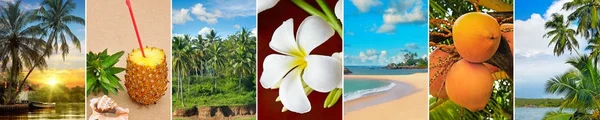Panoramiczny widok na tropikalne plaże, palmy i owoce. Szeroki — Zdjęcie stockowe