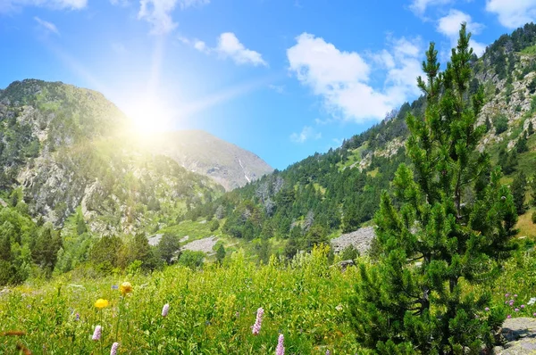 아름 다운 산 풍경 및 태양 — 스톡 사진