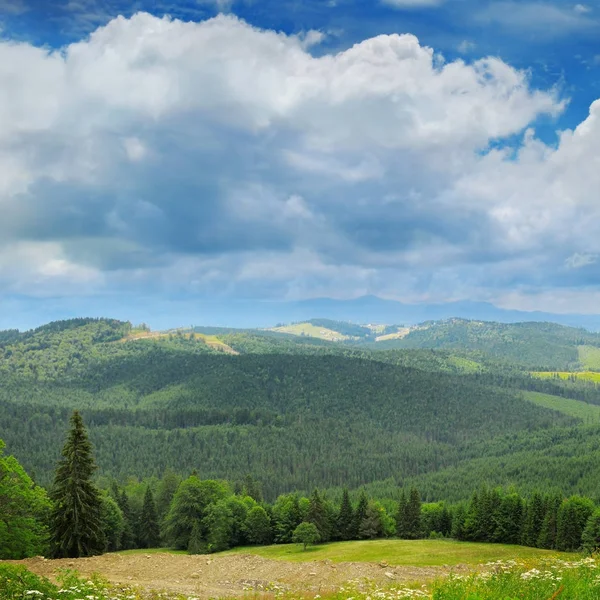 Mountains covered trees and blue sky — Stock Photo, Image