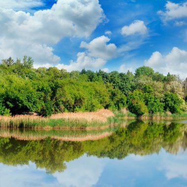 Göl, bankalar ve gökyüzü yaz orman