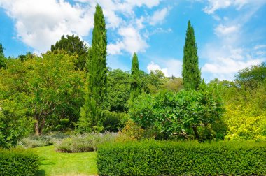 Park, yeşil çayır ve mavi gökyüzü