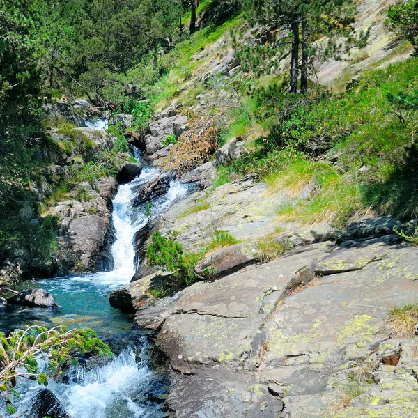 Malownicze Creek Bieżącą Wodą Górach — Zdjęcie stockowe