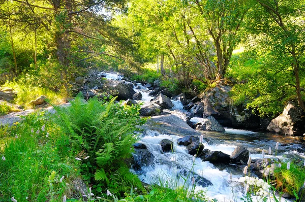 Paisaje con montañas, bosque y un río en frente. —  Fotos de Stock