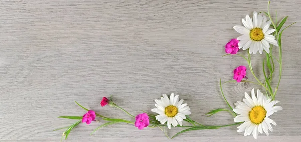 Samenstelling van de bloemen. Plat lag, top uitzicht — Stockfoto