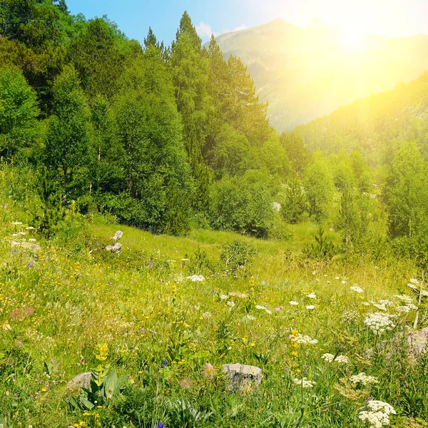 Beau paysage de montagne et soleil — Photo