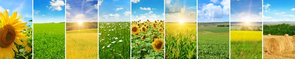 Panoramic view of green field and blue sky with light clouds. Co — Stock Photo, Image