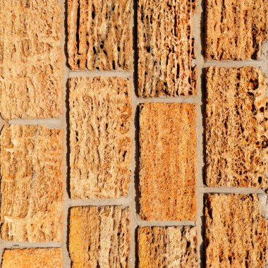 Arka plan kesilmiş kabuk kaya yaptı